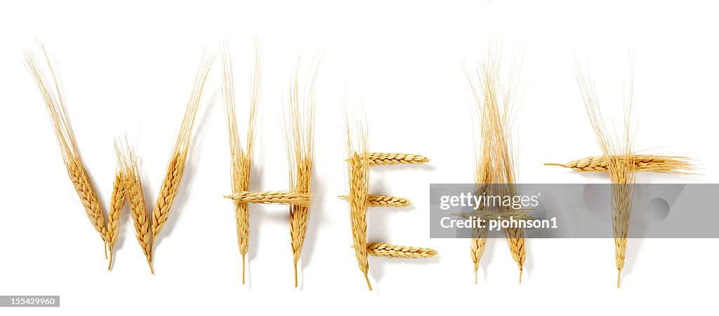 Wheat