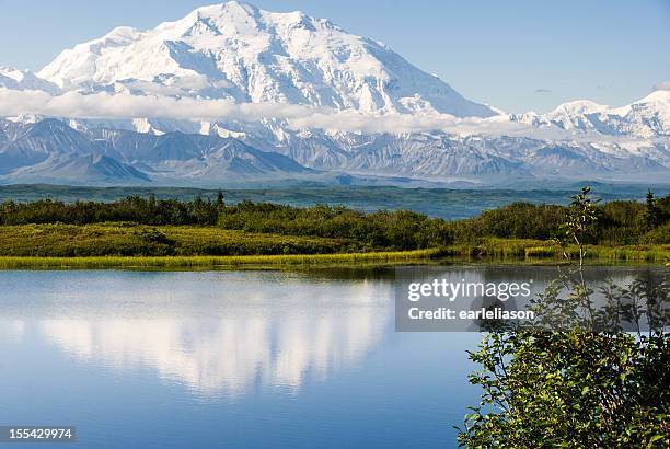 mighty mt. mckinley - mt mckinley stock pictures, royalty-free photos & images