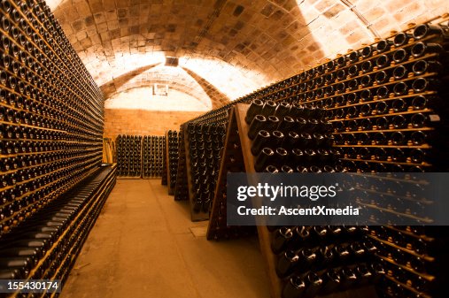 Cellar Cellar