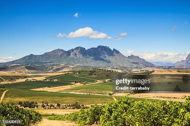 african landscape vineyard region stellenbosch south africa - south africa wine stock pictures, royalty-free photos & images