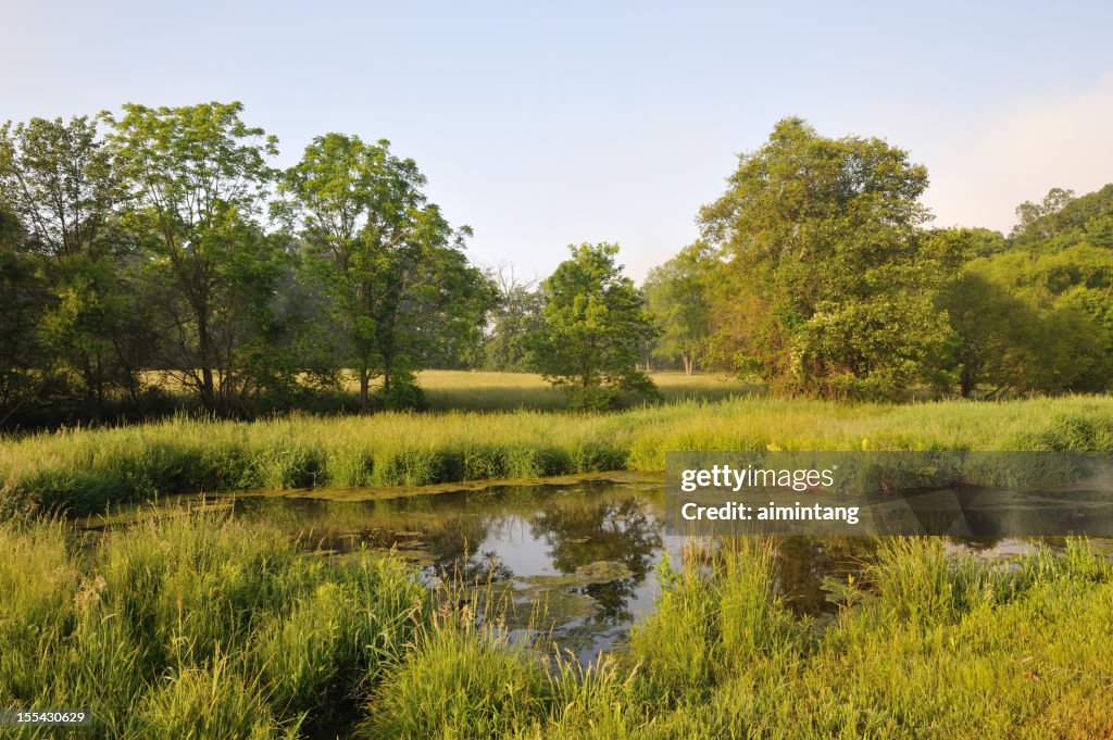 Rural Scenery