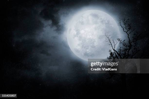 noite céu - aterrorizado imagens e fotografias de stock