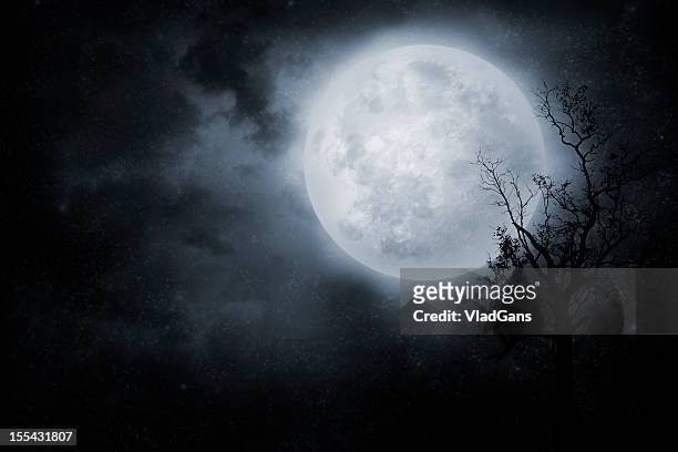 night sky - full moon 個照片及圖片檔