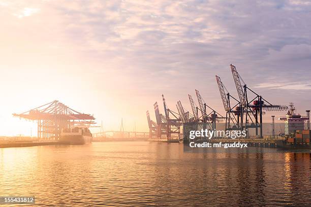 hamburg harbour container terminal - elbe bildbanksfoton och bilder