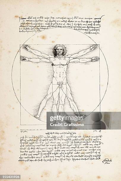 ilustraciones, imágenes clip art, dibujos animados e iconos de stock de el hombre de vitruvio pintado por leonardo da vinci de 1492 - leonardo da vinci