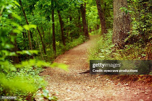 outdoor nature hiking trail - missouri park stock pictures, royalty-free photos & images