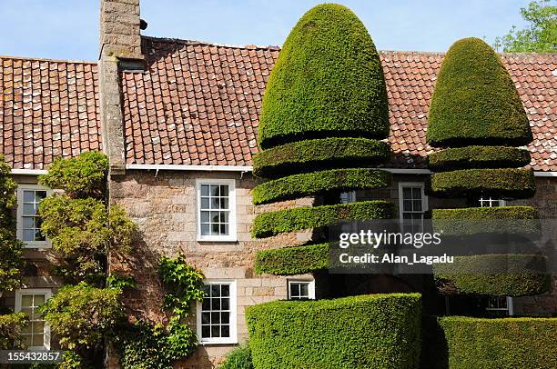 jersey farmhouse. - leylandii stock pictures, royalty-free photos & images
