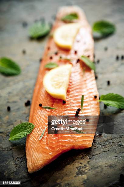 filete de trucha - trucha fotografías e imágenes de stock