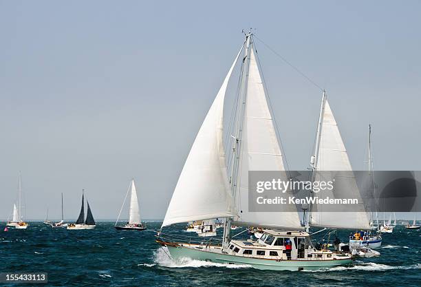 nantucket sailboat race - nantucket stock pictures, royalty-free photos & images
