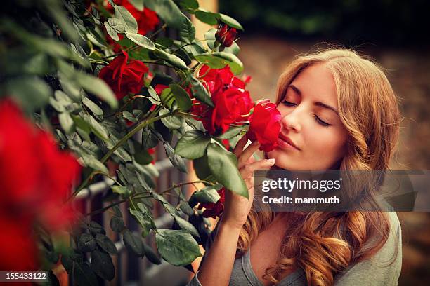 girl smelling roses - red roses garden 個照片及圖片檔