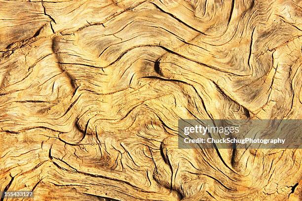 dead-wood grain-wacholder - grooved stock-fotos und bilder