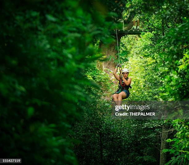 woman during a canopy tour in costa rica - zip line stockfoto's en -beelden