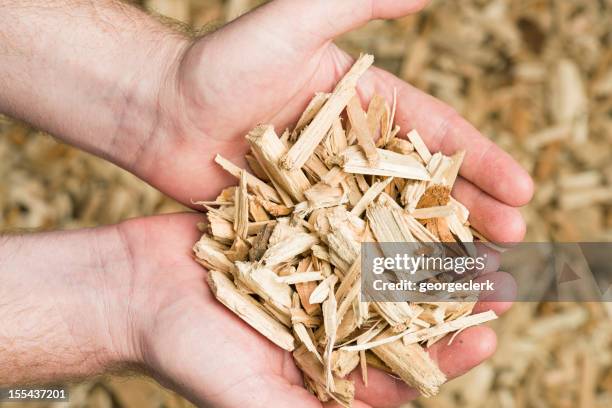 holding wood chips biomass fuel - biomass renewable energy source stock pictures, royalty-free photos & images