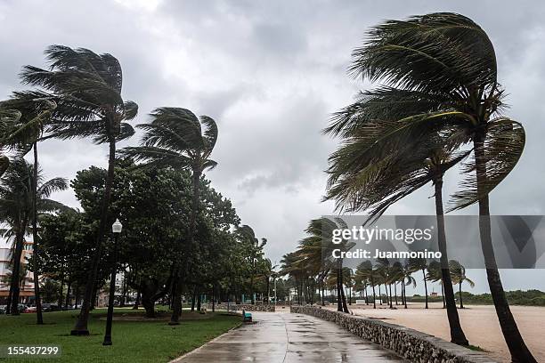 tormenta en la playa - huracán fotografías e imágenes de stock
