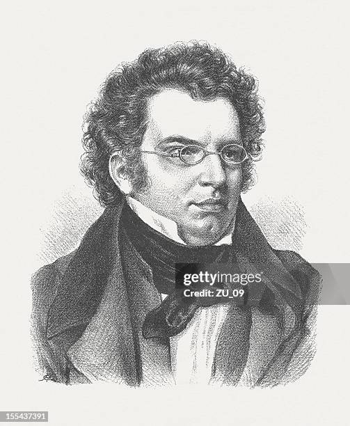 franz schubert (1797-1828), austrian composer, wood engraving, published in 1882 - composer portrait stock illustrations