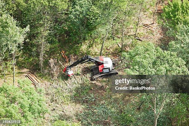 346 Deforestation Machine Stock Photos, High-Res Pictures, and Images ...
