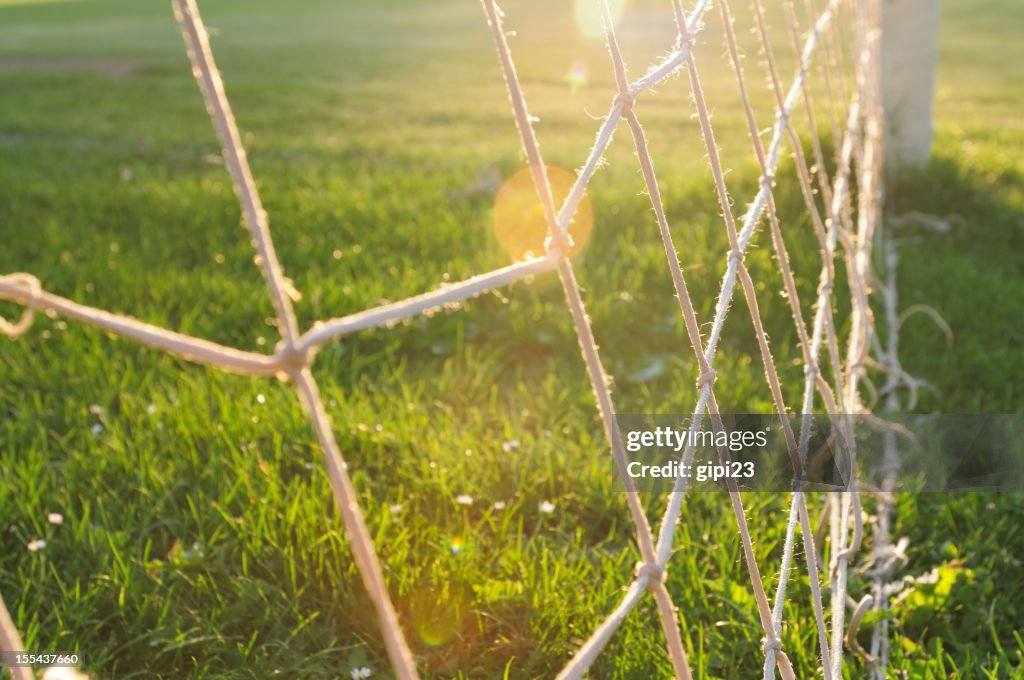 Soccer net