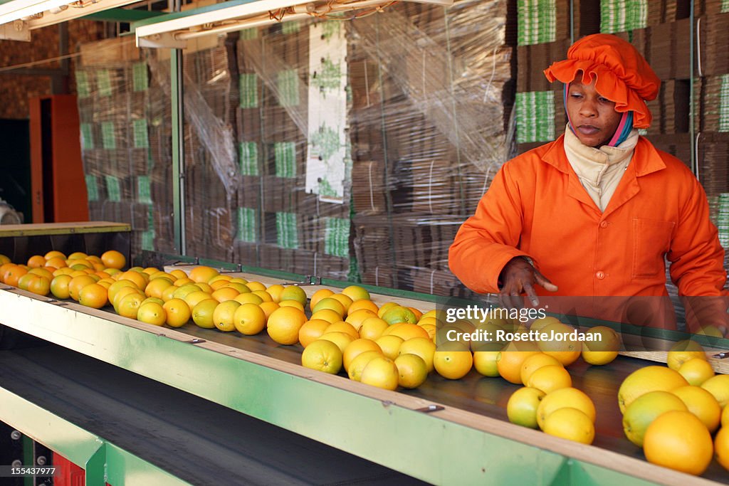 Orange sur la ligne de conditionnement