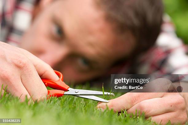 obsessive man laying on grass, perfection - perfection stock pictures, royalty-free photos & images