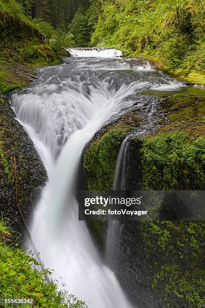 twister falls pacific crest trail eagle creek oregon usa - eagle creek trail stockfoto's en -beelden