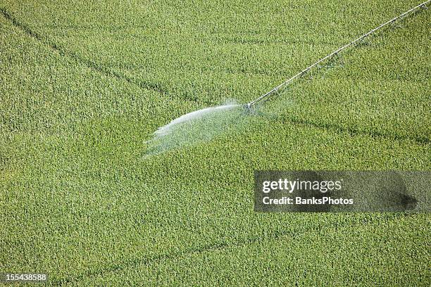 center pivot irrigation sprayer watering cornfield aerial - center pivot irrigation stock pictures, royalty-free photos & images