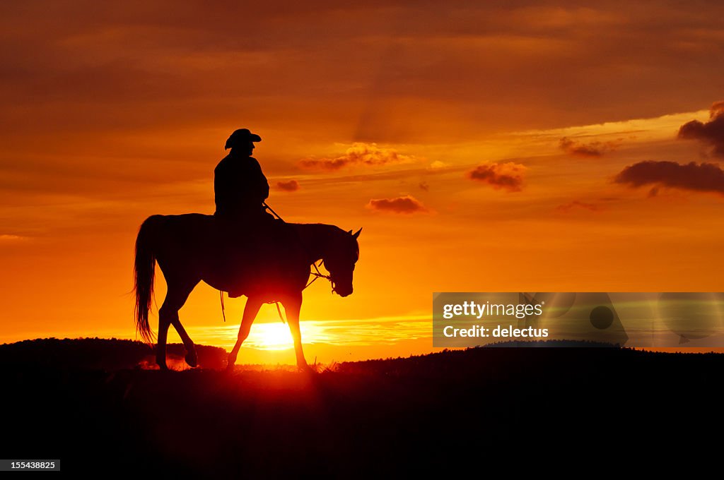Cowboy rides during the sunset