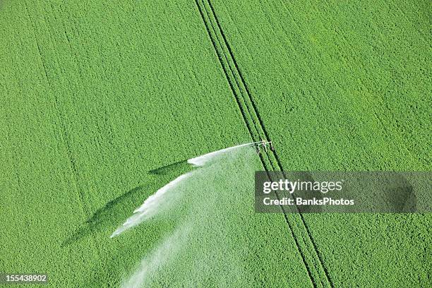 water reel irrigation system sprayer in farm field - irrigatiesysteem stockfoto's en -beelden