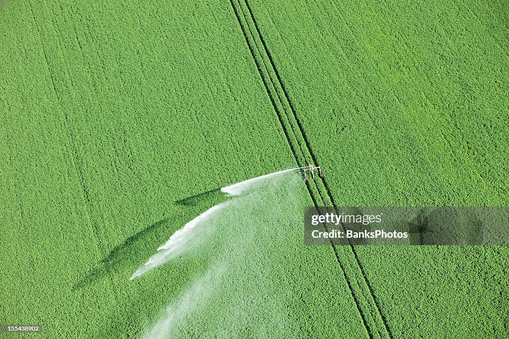 Water Reel Irrigation System Sprayer in Farm Field