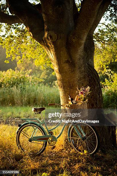 retro fahrrad mit rotwein in picknick-korb xxxl - tree flower meadow stock-fotos und bilder