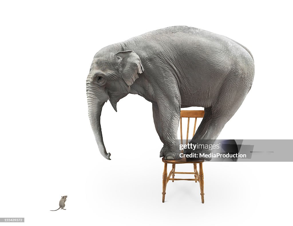 Elephant's fear da seção mice