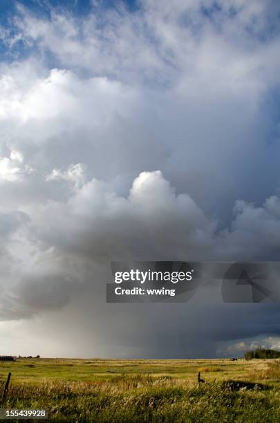 Hail Field 846 Hail Field Stock Photos, High-Res Pictures, and Images - Getty Images