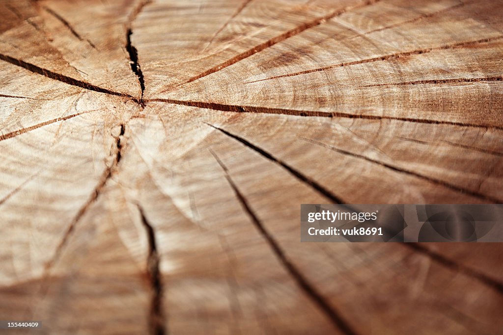 Wooden cross section