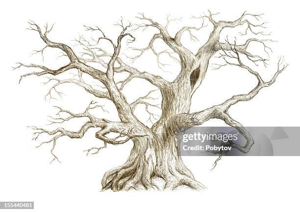 old tree with no leaves - spooky tree stock illustrations