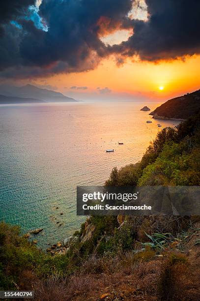 costa al tramonto, isola d'elba - isola elba foto e immagini stock