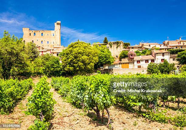 château et les vignobles de chateneuf-du-pape, provence, france. - provence alpes côte d'azur photos et images de collection