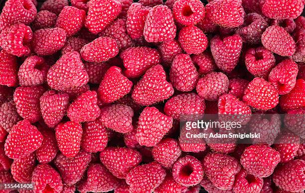 raspberry - adam berry stockfoto's en -beelden