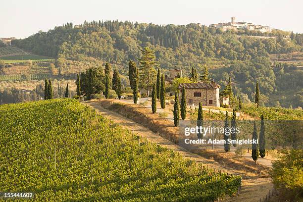 volpaia chianti-weinberg bei sonnenuntergang - tuscany villa stock-fotos und bilder