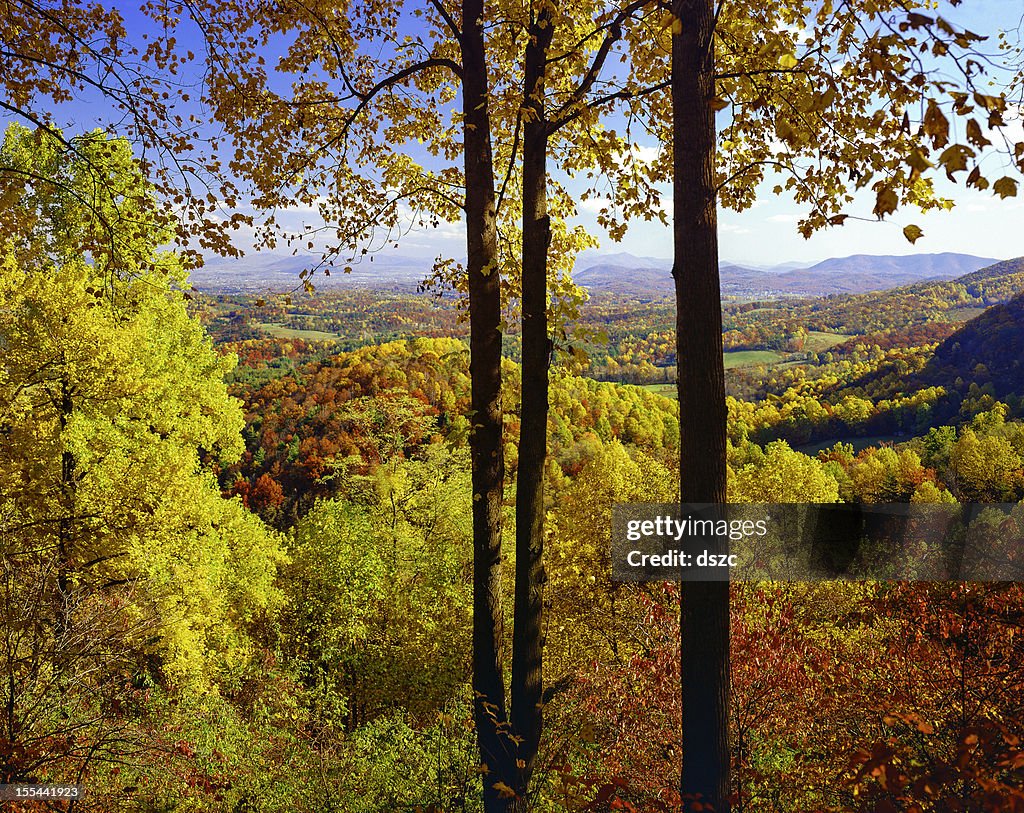 Autumn In Virginia Autumn Colored Foliage Vista From The Blue Ridge Parkway Virginia High ...