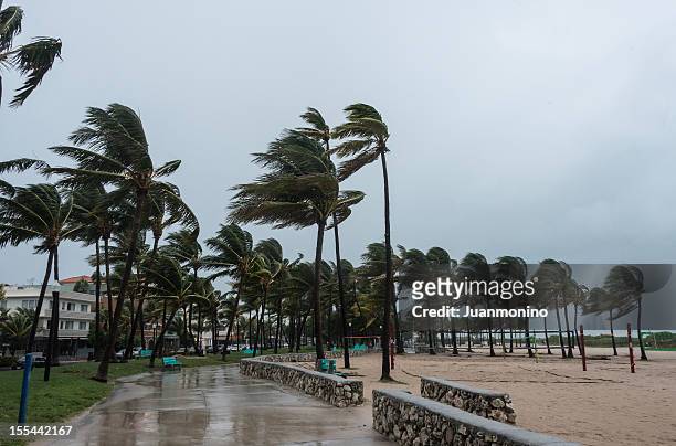 sturm am strand - hurrikan stock-fotos und bilder