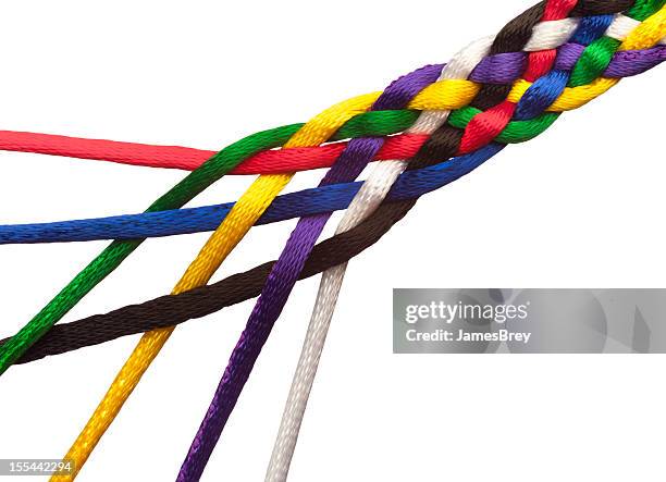 1,658 Braided Rope Stock Photos, High-Res Pictures, and Images
