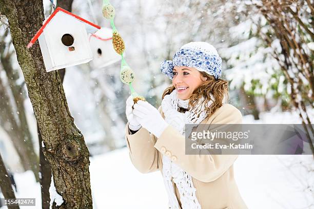 winter-porträt - bird feeder stock-fotos und bilder