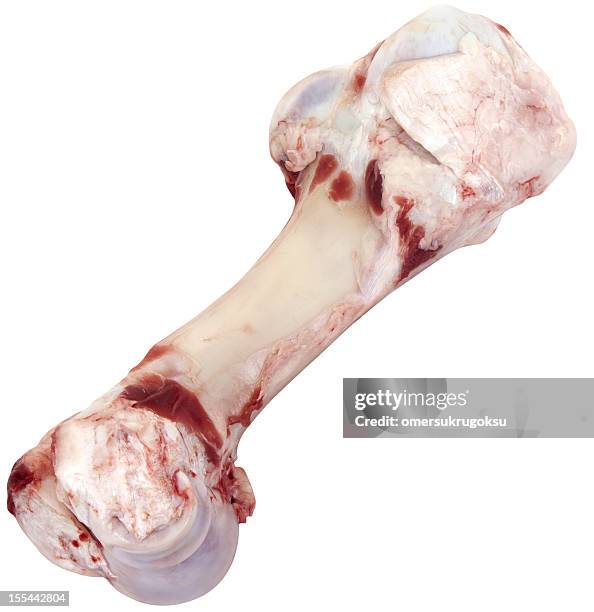 uncooked veal bone - dog bone stock pictures, royalty-free photos & images