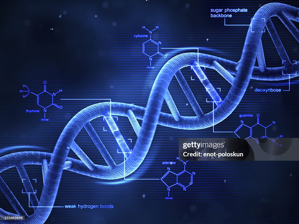 DNA