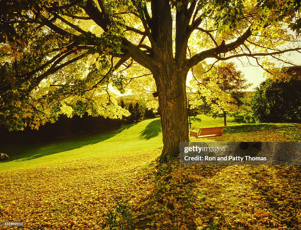 L'automne en Nouvelle-Angleterre