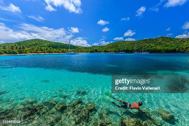 salt whistle bay, mayreau - saint vincent grenadines stock pictures, royalty-free photos & images