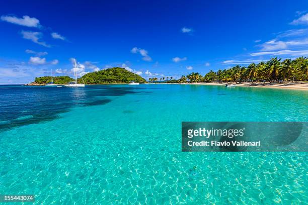 salt whistle bay, mayreau - grenadine stock pictures, royalty-free photos & images