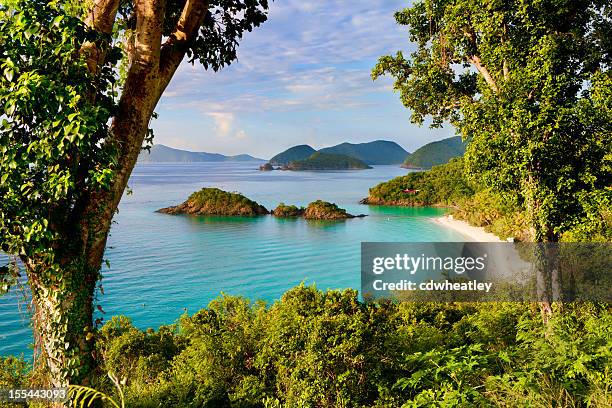 trunk bay, st. john, us virgin islands in the caribbean - us virgin islands stock pictures, royalty-free photos & images