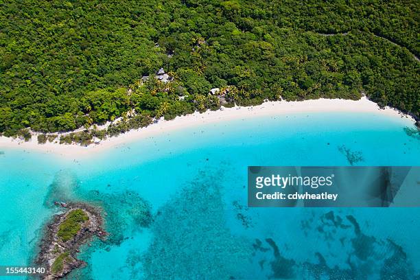 veduta aerea di trunk bay, st. john, isole vergini americane - caribbean sea foto e immagini stock