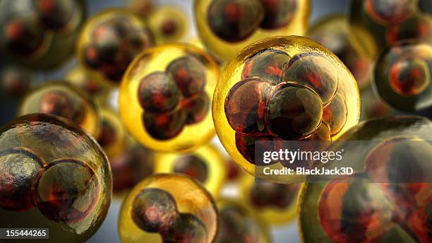 close-up illustration of cell divisions - binary fission stock illustrations stock pictures, royalty-free photos & images