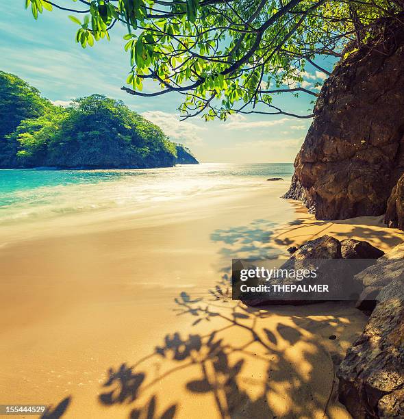 strand in costa rica - costa rica beach stock-fotos und bilder